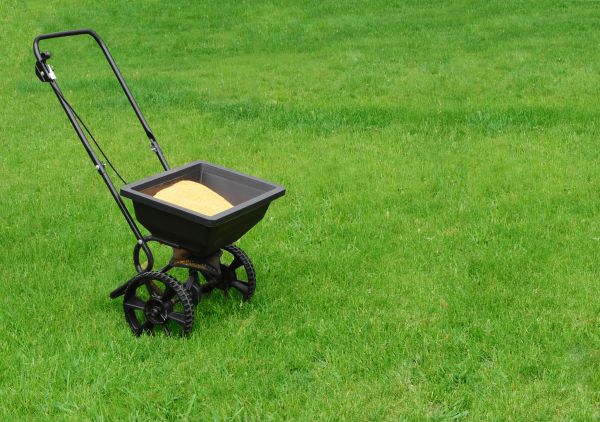 Longview Lawn Treatment