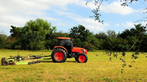 Longview Bush Hogging
